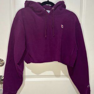 🏆 Cozy Cropped Heavy Champion Hoodie - M - Street Style Essential! 🏆